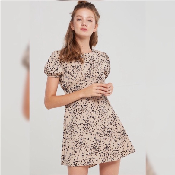 storets Dresses & Skirts - Storets Leopard Print Skater Mini Dress